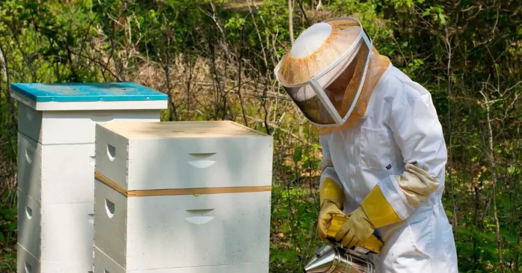 Why are Beekeepers Suits White